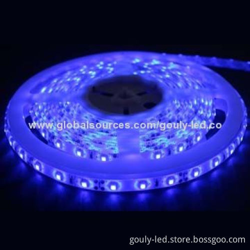 Blue 5050/3528 SMD Strip Light with 12/24V DC Input Voltage and IP65 Protection Grade